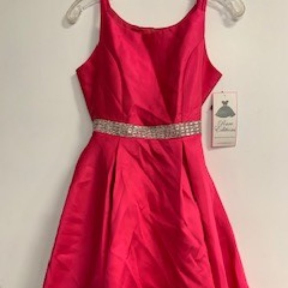 NWT: Rare Editions girl's plus size formal dress